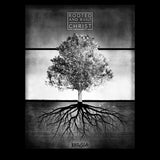rooted-in-christ--colossians-2:7-religious-t-shirt-kerusso